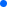 blue dot icon