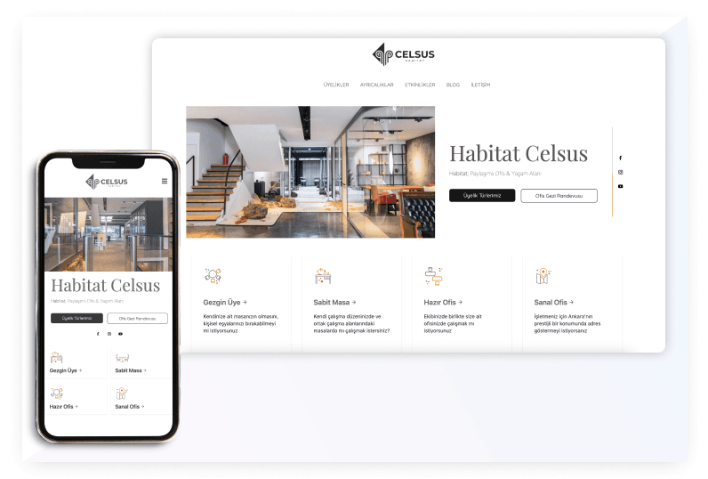 Web Site tasarımı Celsus Habitat